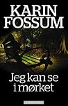 Jeg Kan Se i Mørket by Karin Fossum