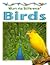 Birds (What's the Difference?)