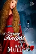 A Stormy Knight