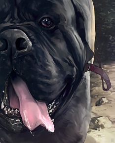 Mastiff