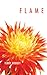 Flame