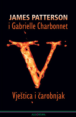 Vještica i čarobnjak (Witch & Wizard, #1)
