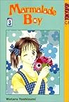 Marmalade Boy, Vol. 3 by Wataru Yoshizumi