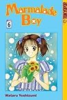 Marmalade Boy, Vol. 6 by Wataru Yoshizumi