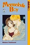 Marmalade Boy, Vol. 8 by Wataru Yoshizumi