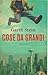 Cose da grandi by Garth Stein