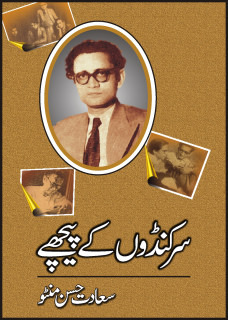 Sarkandon Ke Peeche / سرکنڈوں کے پیچھے (Hardcover)