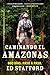 Walking the Amazon by Ed Stafford