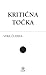 Kritična točka
