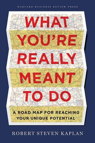 What You're Really Meant to Do: A Roadmap for Meeting Your Unique Potential (Hardcover)