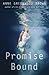 Promise Bound (Lies Beneath)