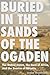 Buried in the Sands of the Ogaden: The United States, the Horn of Africa, and the Demise of Detente (New Studies in U.S. Foreign Relations)