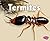 Termites (Creepy Crawlers)