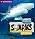 Sharks (Smithsonian Little Explorer)