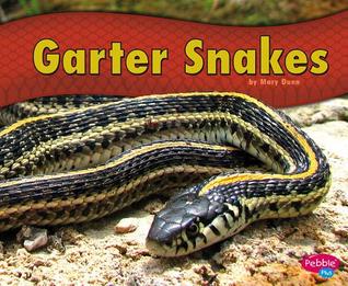 Garter Snakes (Library Binding)