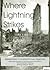 Where Lightning Strikes: Poems on the Holocaust