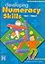 Developing Numeracy Skills: Year 3: Primary 4