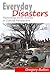 Everyday Disasters: Rethink...