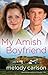My Amish Boyfriend
