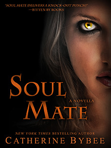 Soul Mate (ebook)
