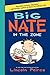 Big Nate by Lincoln Peirce Big Nate by Lincoln Peirce