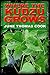 Where The Kudzu Grows by June Thomas Cook
