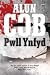 Pwll Ynfyd