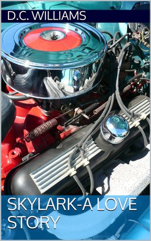 Skylark - A Love Story  (Skylark, #1)
