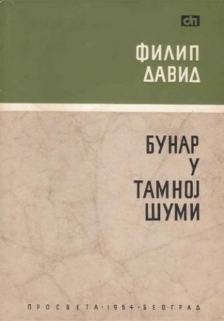 Bunar u tamnoj šumi: pripovetke