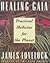 Healing Gaia by James E. Lovelock