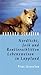 Nordlicht, Joik Und Rentierschlitten: Lebensweisen In Lappland