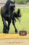 Book cover for Summer Camp Adventure (Keystone Stables, #4)