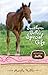 Southern Belle's Special Gift (Keystone Stables, #3)