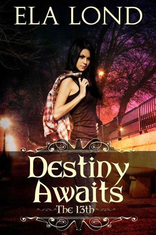 The 13th: Destiny Awaits (Kindle Edition)