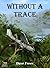 Without a Trace