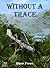 Without a Trace