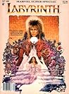 Labyrinth by Sid Jacobson