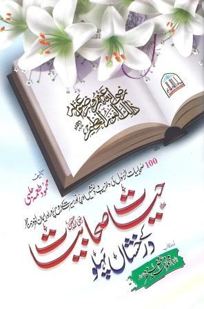 Hayat-e-Sahabiyat ke Darakhshan Pehloo