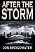 After the Storm (David Storm Mysteries - Book 2)