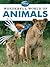Wonderful World of Animals