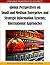 Global Perspectives on Smal...