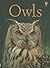 Owls