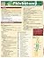 Phlebotomy QuickStudy Laminated Reference Guide by Kathryn Almquist RT