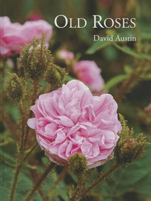 Old Roses