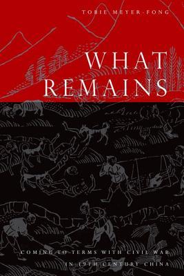 What Remains: Coming to Terms with Civil War in 19th Century China (Hardcover)