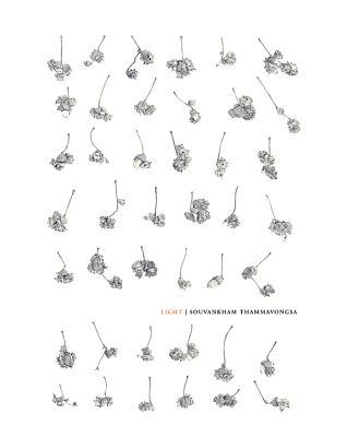 Light (Paperback)