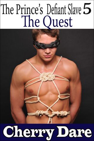 The Quest (The Prince's Defiant Slave, #5)