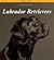 Labrador Retrievers