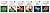Genetics and Evolution Set, 6-Volumes by Russ Hodge
