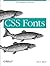 CSS Fonts: Web Typography P...